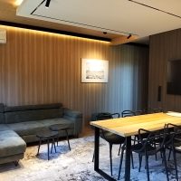 Oplus_4