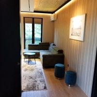 Oplus_4